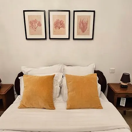 Bel & Ancien Appartement T3 Renove Dans Sartene Esterno foto