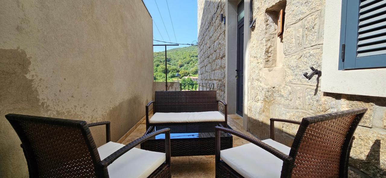 Bel & Ancien T3 Renove Dans *